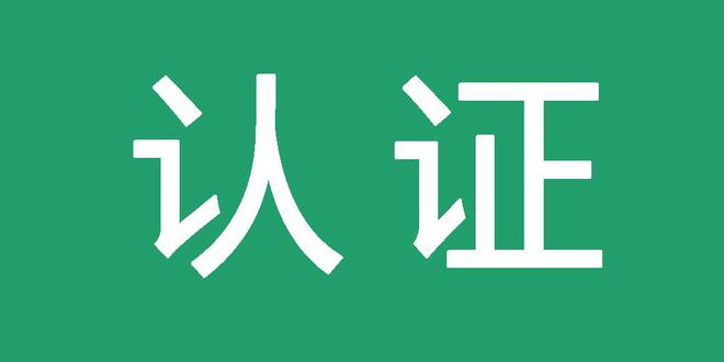 seo网站推广实例