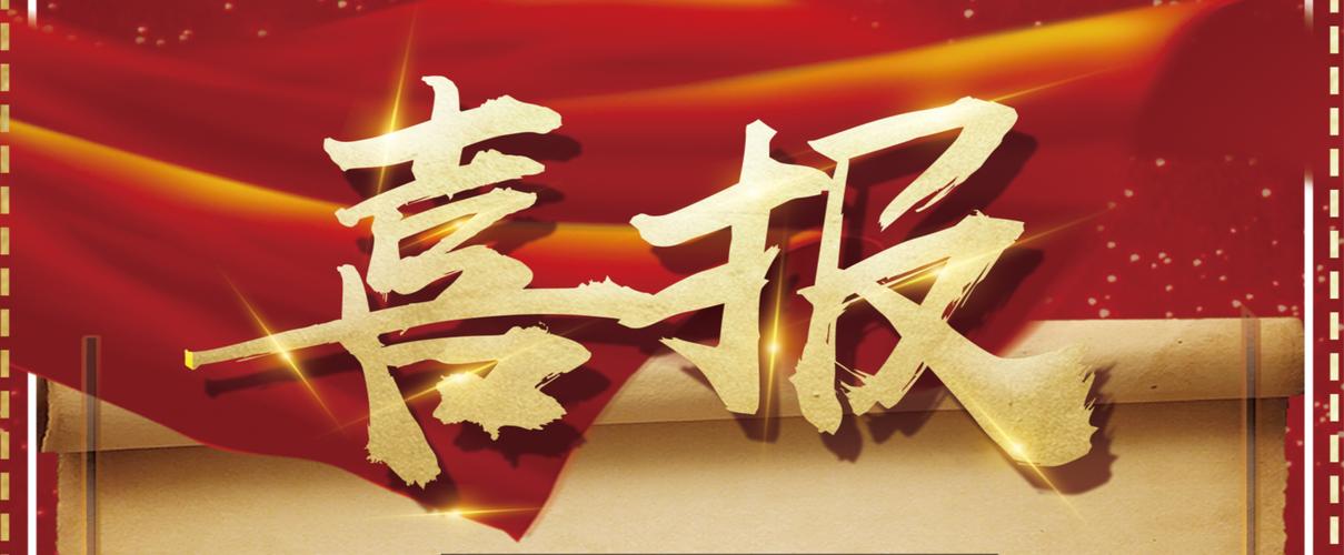 蜘蛛池批量提交